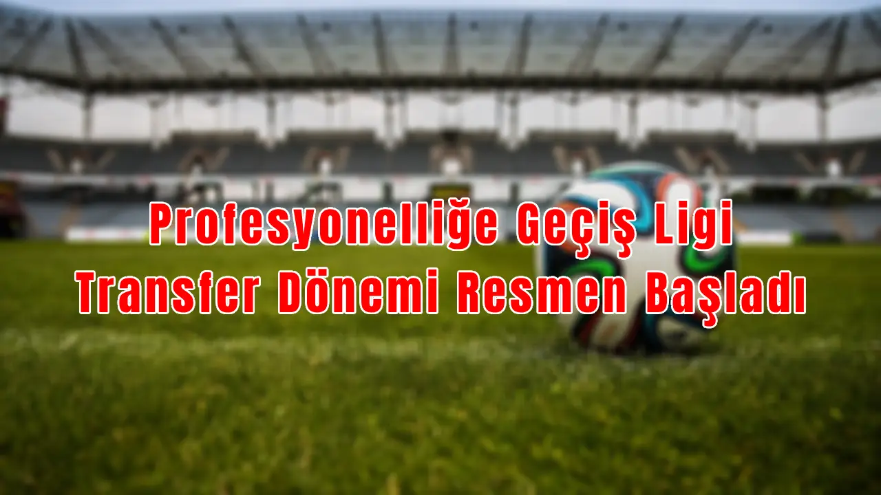 Profesyonelliğe Geçiş Ligi Transfer Dönemi